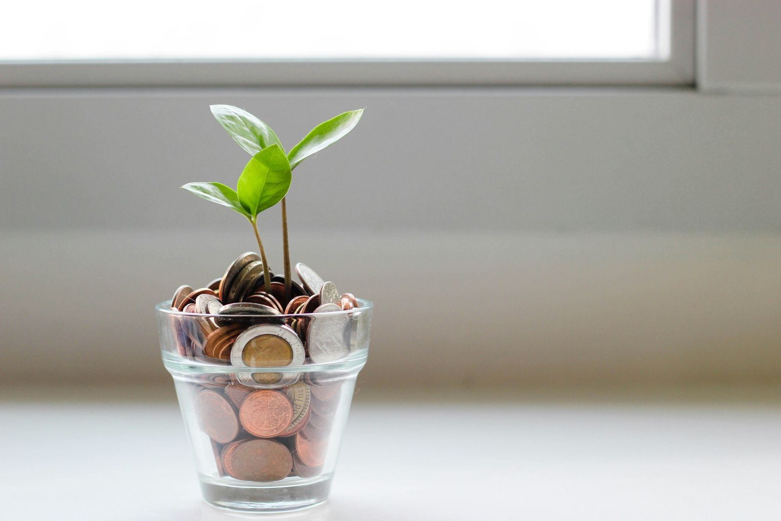 Brote creciendo en un recipiente con monedas
