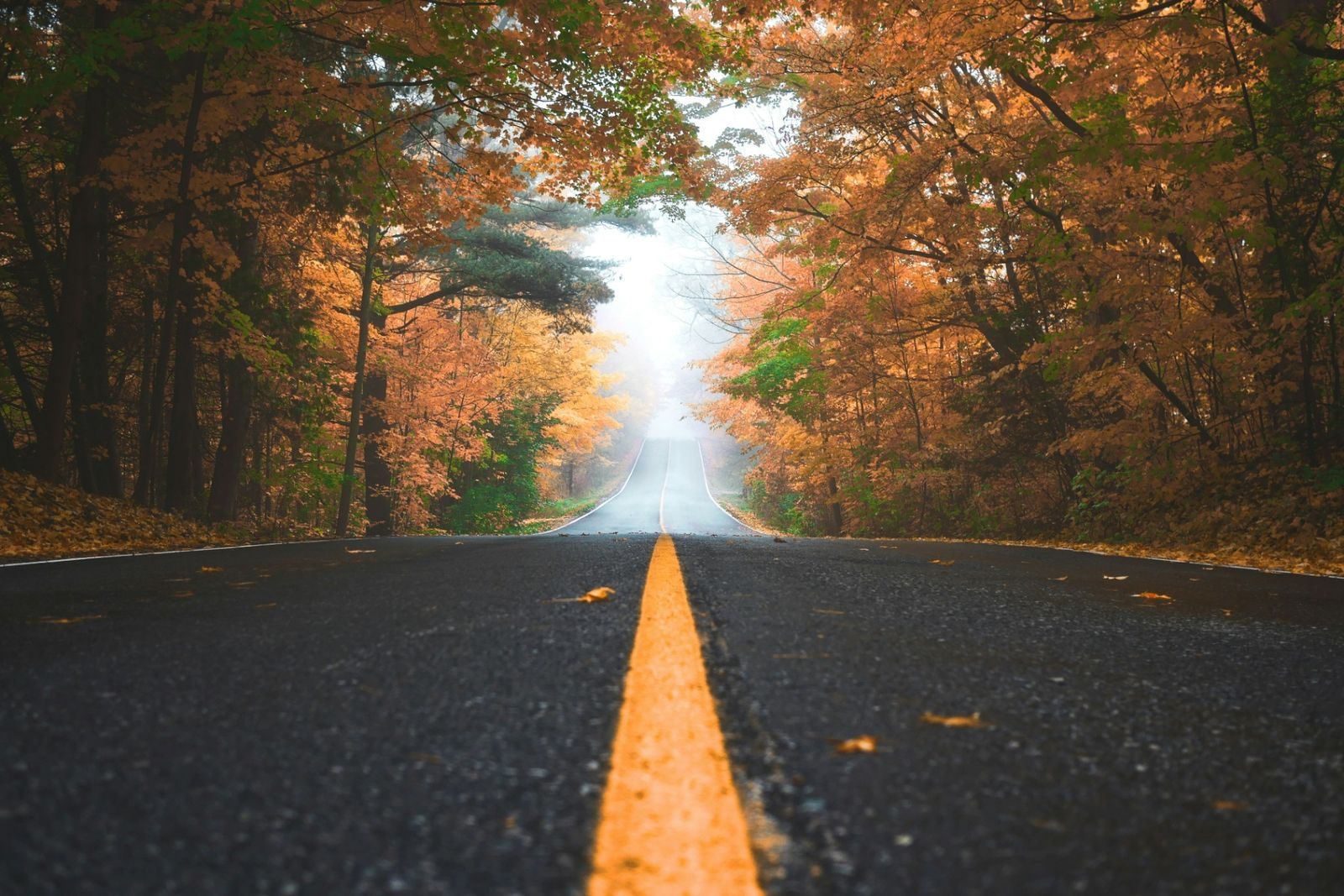 Camino abierto hacia el horizonte